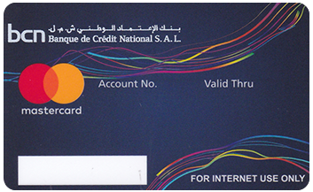 WebSurfer Card